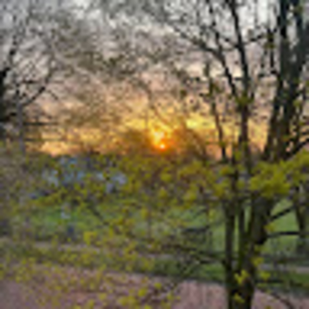 Meet your Posher, Gabrielle